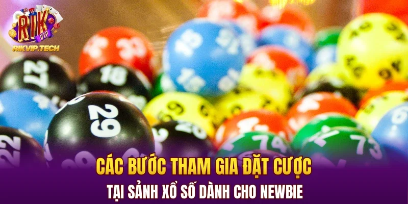 Các bước tham gia đặt cược tại sảnh xổ số dành cho newbie