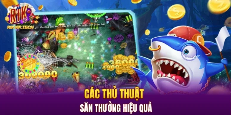 Các thủ thuật săn thưởng hiệu quả