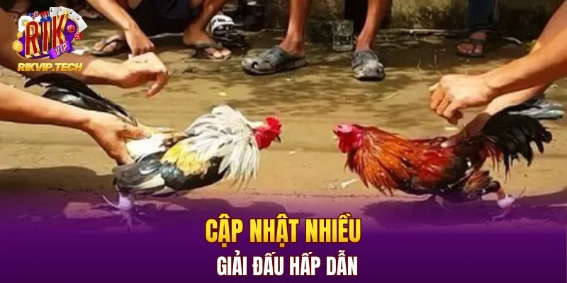Cập nhật nhiều giải đấu hấp dẫn