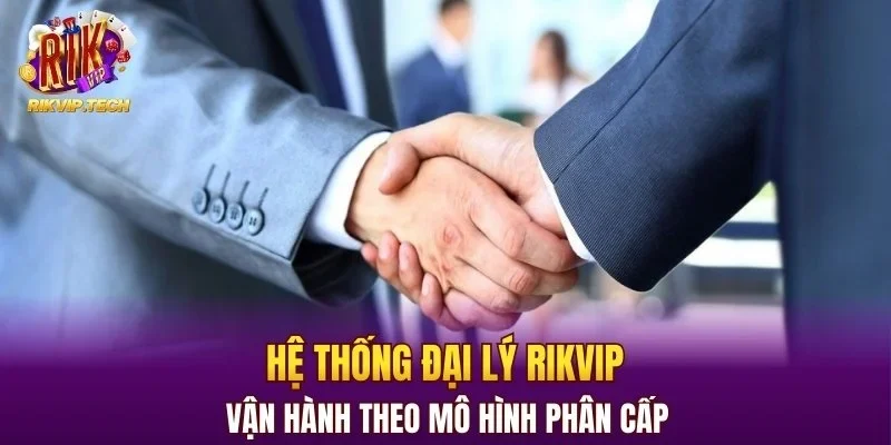 Hệ thống đại lý RIKVIP vận hành theo mô hình phân cấp