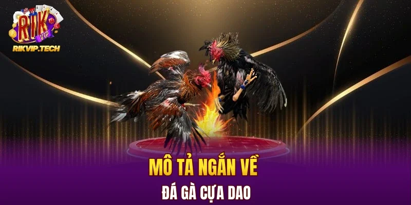 Mô tả ngắn về đá gà cựa dao