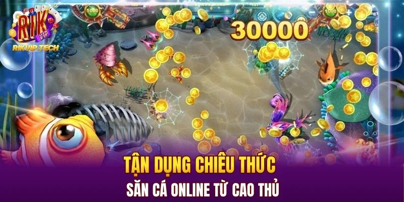 Tận dụng chiêu thức săn cá online từ cao thủ
