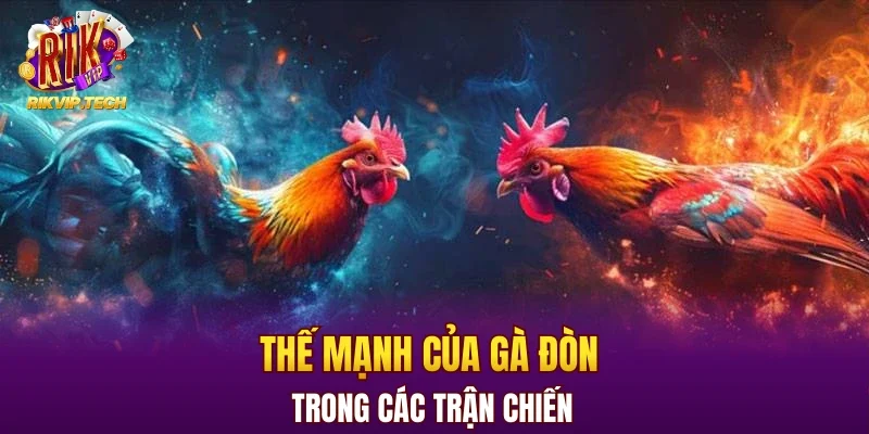 Thế mạnh của gà đòn trong các trận chiến 