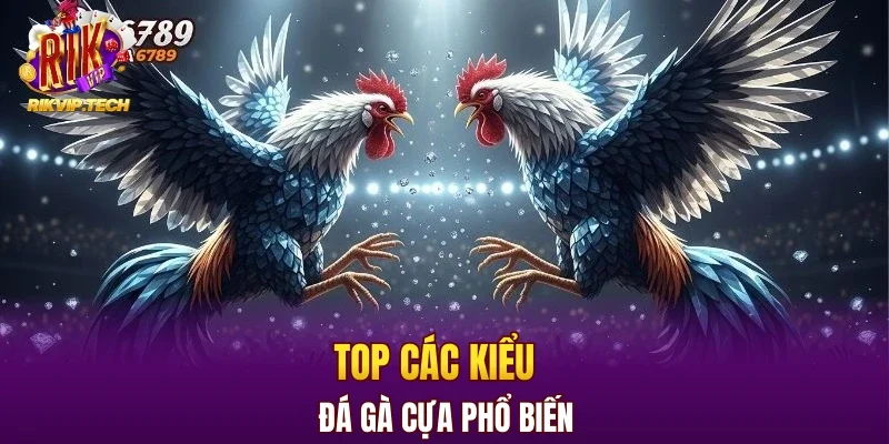 Top các kiểu đá gà cựa phổ biến 